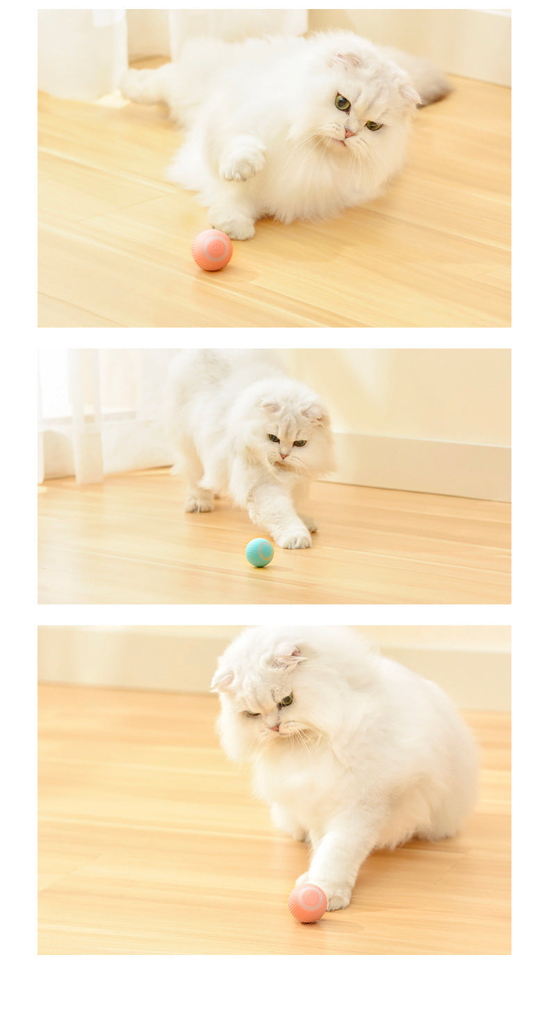 Cat Gravity Rolling Ball | Intelligent Automatic Toy | Super Trendz